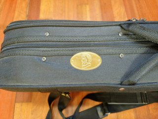 Violín Stentor Graduate con funda y accesorios
