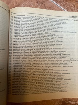 Diccionario en Seis Idiomas