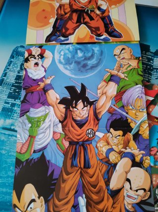 Poster-Book Dragon Ball Z y GT