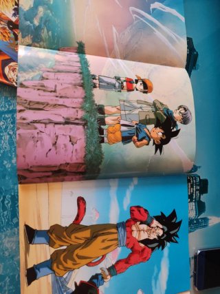 Poster-Book Dragon Ball Z y GT