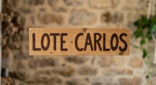 LOTE CARLOS
