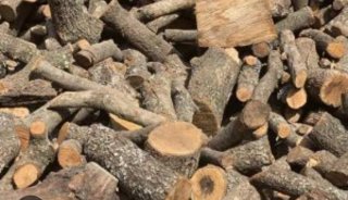 Leña de encina y olivo para chimenea.