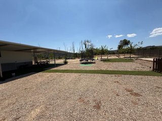 Terreno rustico con naranjos y parcela con casita