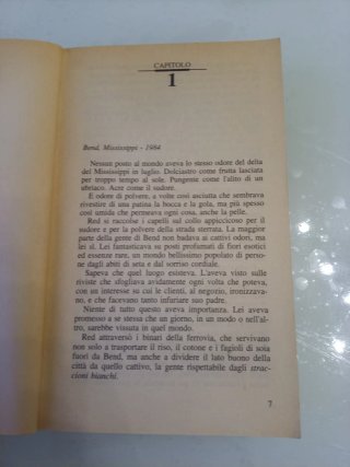 I sogni di Red romanzo di Erica Spindler