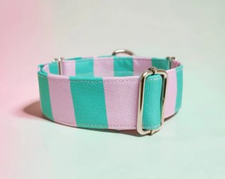 COLLAR ANTIESCAPES PARA PERRO MOD MALIBÚ