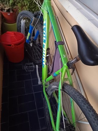 Bicicleta Montaña 29 Wolfbike