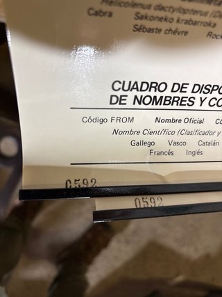 Cartel Especies Interés Económico Litoral Español