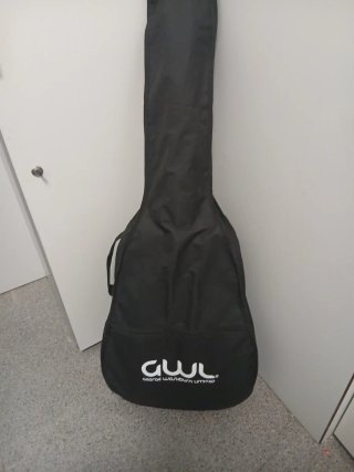 Guitarra Acústica Washburn