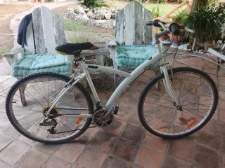 Bicicleta Bitwin
