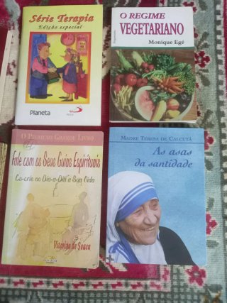 Conjunto de 10 Livrinhos de Bolso Variados