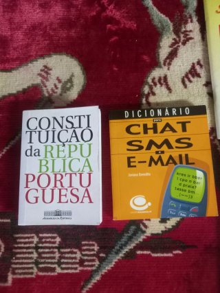 Conjunto de 10 Livrinhos de Bolso Variados
