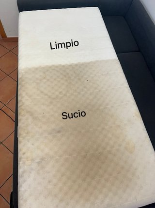 Negocio de limpieza de tapizados