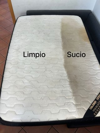 Negocio de limpieza de tapizados