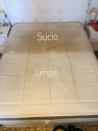 Negocio de limpieza de tapizados