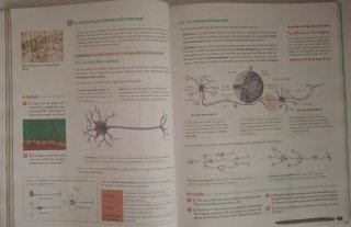 Biología y Geología 3º ESO. Libro del estudiante.