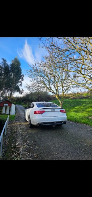 Audi A5 sportback 3.0 tdi quattro