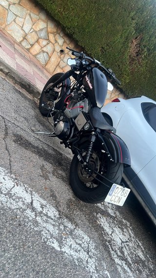 Harley Davidson Sportster 883 100 Aniversario