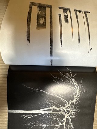 Libro fotográfico artístico soviético URSS