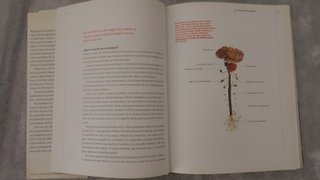 libro de neurociencia y cocina