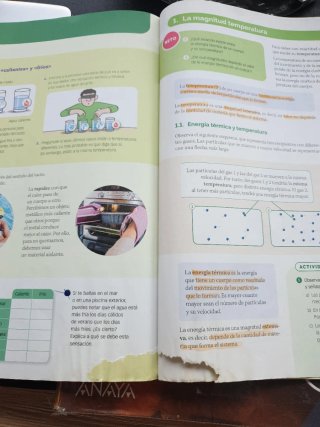 Física y Química, 2 ESO, Serie Ensayamos, Proye...