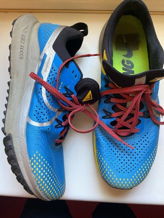 Zapatillas Nike Pegasus Trail Azules