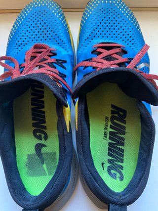 Zapatillas Nike Pegasus Trail Azules