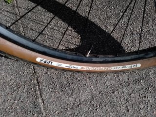 Kona Dr Dew Bicicleta Gris