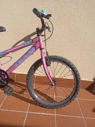 Bicicleta infantil TEAM rosa