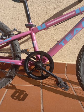 Bicicleta infantil TEAM rosa