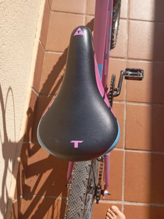 Bicicleta infantil TEAM rosa