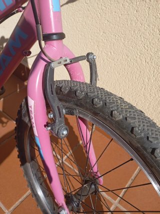 Bicicleta infantil TEAM rosa