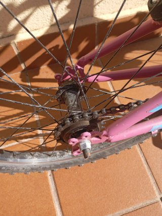 Bicicleta infantil TEAM rosa