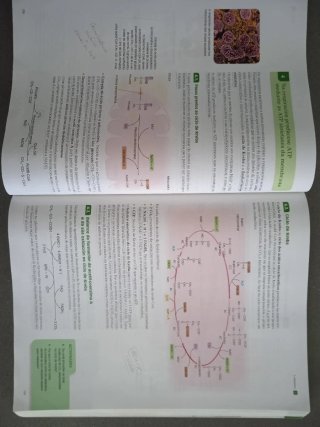 Bioloxía, 2 Bacharelato Serie Observa : Proxect...