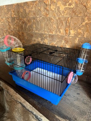 Gabbia per criceto con accessori
