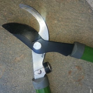 Tijera de poda