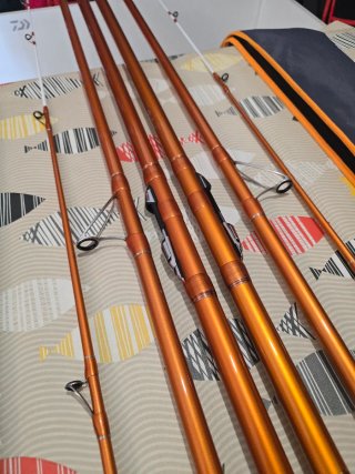 CAÑAS DAIWA CAST IZM 33-425H BE