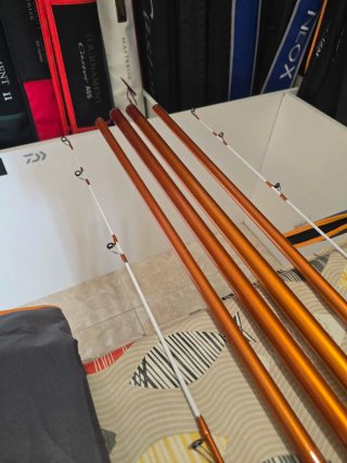 CAÑAS DAIWA CAST IZM 33-425H BE