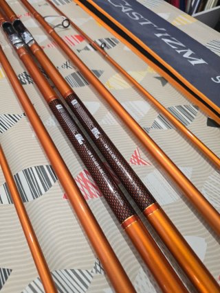 CAÑAS DAIWA CAST IZM 33-425H BE