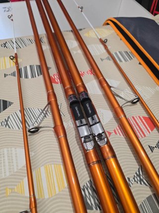 CAÑAS DAIWA CAST IZM 33-425H BE