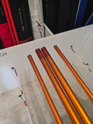 CAÑAS DAIWA CAST IZM 33-425H BE