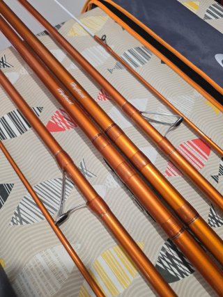 CAÑAS DAIWA CAST IZM 33-425H BE
