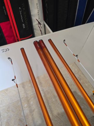 CAÑAS DAIWA CAST IZM 33-425H BE