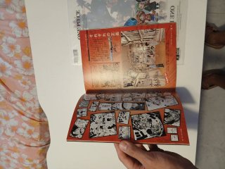 One piece exhibition 2012