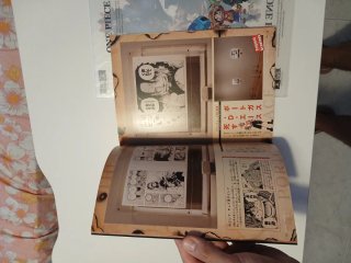 One piece exhibition 2012