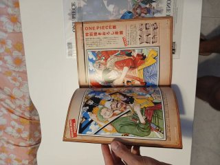 One piece exhibition 2012