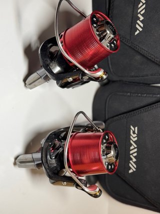 Coppia di Mulinelli Daiwa Basia Air