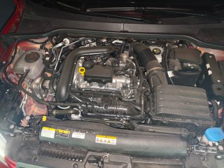 SEAT Ibiza 2025