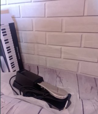 Pedal Piano Teclado Profesional D1