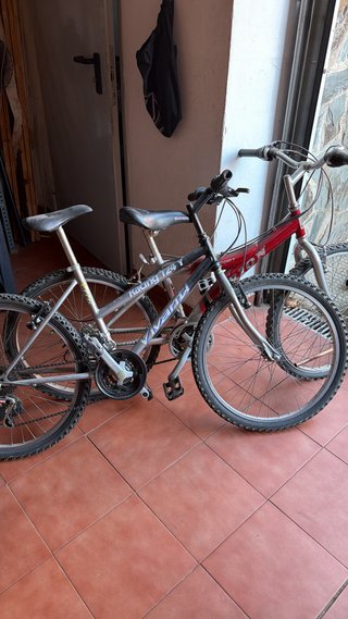 Bicicleta/bicicletas