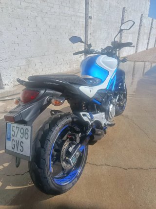 Suzuki Gladius